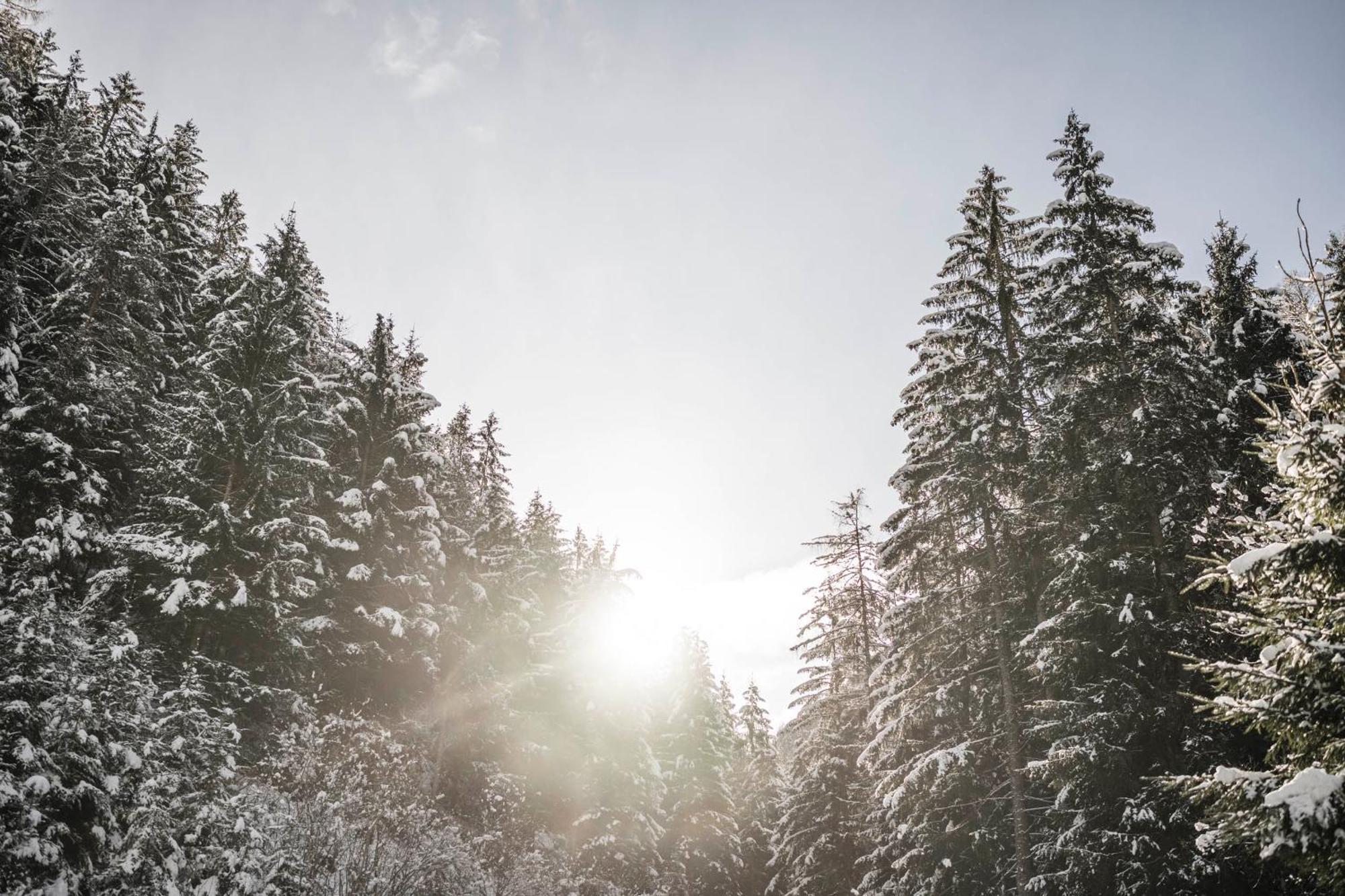 Vila Pardellerhof Luesen Exteriér fotografie